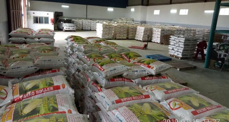 150t/D Corn Flour Grits Meal Mill Machine for Bulawayo Zimbabwe