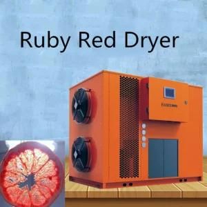 Commercial Type Automatic Fruit Drying Machine Ruby Red Dryer Machine