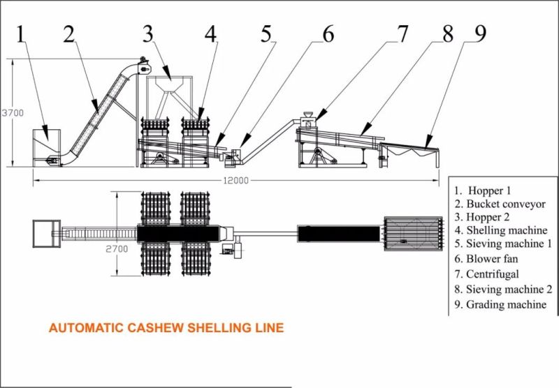 Automatic Cashew Processing Cashew Nuts Shelling Peeling Machine