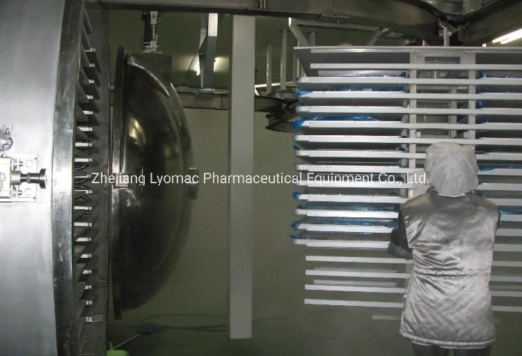 Pilot Vacuum Automatic Freeze Dryer for Food and Medicine