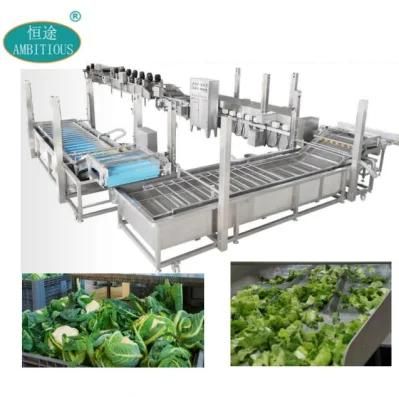Automatic Vegetable Processing Line Salad Processing Line