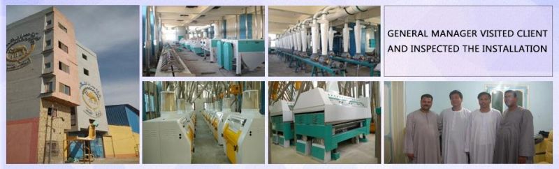 200t Wheat Milling Machine Complete Mill Installed in Egypt