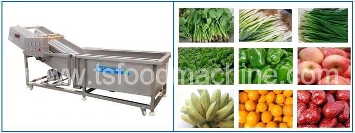 Automatic Vegetable Washing Machine with Pressure Washer for Vegetable Processing