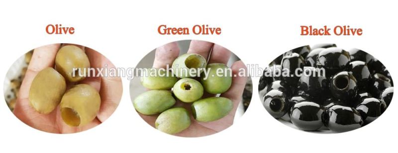 Fruit Seed Removing Date Apple Pear Apricot Cherry Pit Remove Olive Pitting Pitter Processing Machine