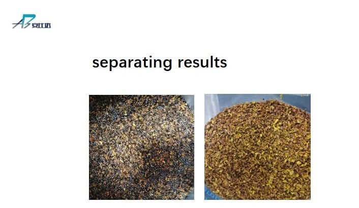 Digital Food Processing Machinery Sea-Buckthorn Separating Machine Multifunctional Color Sorter