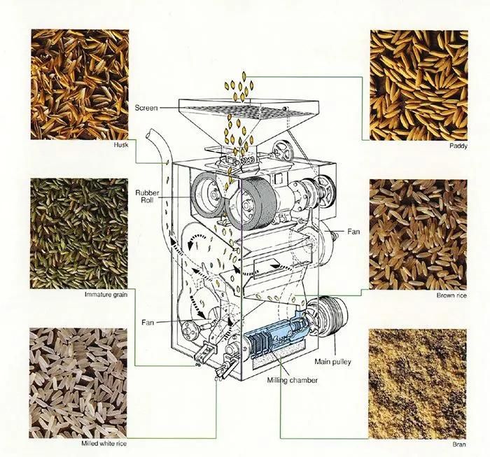 Combine Sb Rice Milling Miller Processing Machine for Sale Price