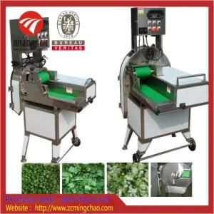 Fruit and Vegetable Slicing Cutting Dicing Machine
