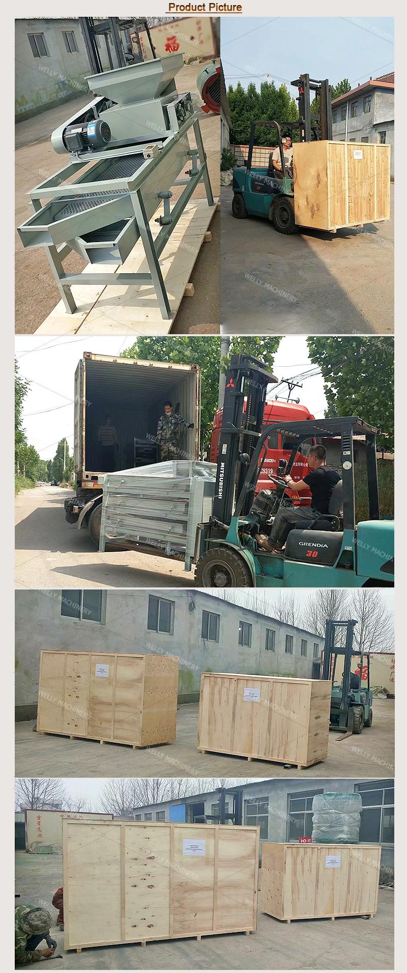 High Capacity Hazelnut Separator Sorting Chopping Peeling Machine