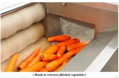 Ozone Sterilizing Brush Fruit Vegetable Cleaning Commercial Washing Machine