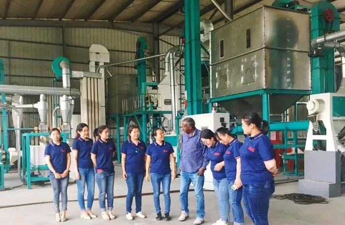 China Best Price Maize Wheat Flour Milling Equipment for Africa