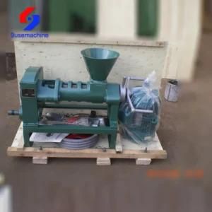 Commercial Use Small Capacity Hot Sale Oil Press Jackfruit Seeds Oil Press