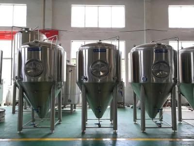 Fermenting Equipment Cassman 500L Beer Brewery Equipment for Sale
