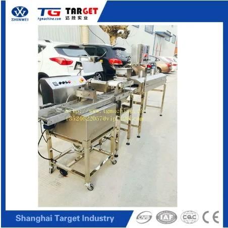 Small Capacity Chocolate Enrobing Machine with Chocolate Syrup