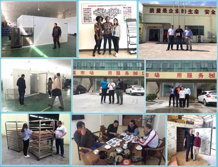 China Manufacturer Dryer Type Industrial Fruit Dehydrator