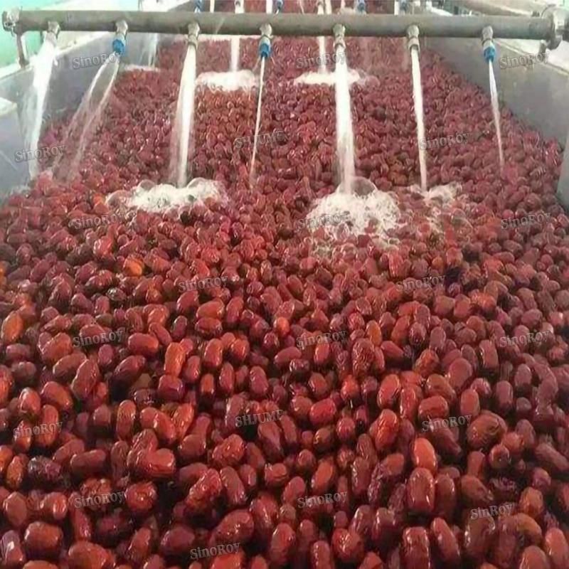1000kg Red Dates Juice Red Dates Paste Processing Line