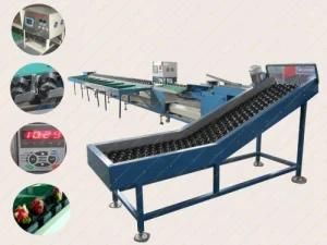 High Quality Low Price of Fruit Sorting Machine