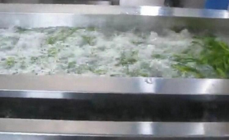 Industrial Use Air Bubble Leafy Lettuce Vegetable Washing Machine
