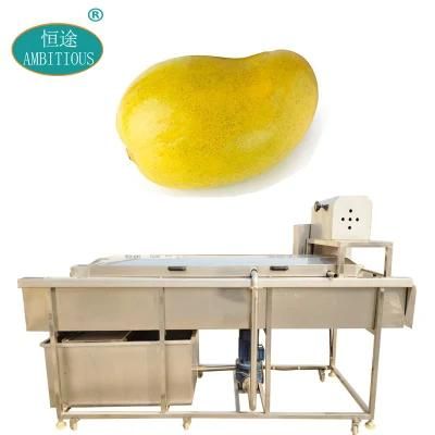 Brush Washing Fruit Washer Processing Machinery Mango Washing Machine