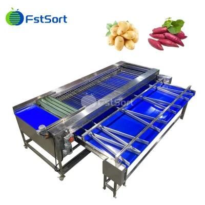 Carrot/Potato/Onion/Cucumber Grading Sorting Machine From China