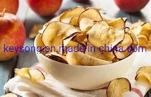 Eggplant Cucumber Dehydration Machinery Food Mesh Belt Dryer