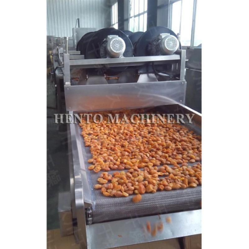 Conveyor Hot Air Dryer For Sale