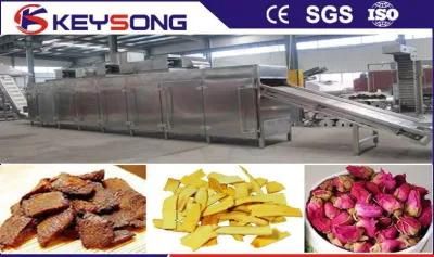Tunnel Mesh Belt Ginger Chilli Vegetable Fruit Food Dryer