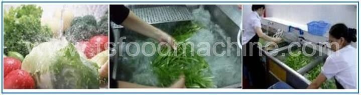 Small Automatic Fruit and Vegetable Bubble Washing Machine with Factory Price