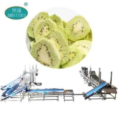 Freeze-Dried Kiwi Fruit Slice Production Line Cleaning Peeling Cutting Machine