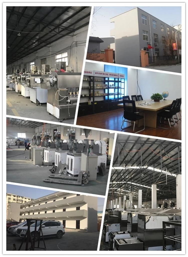 Ce Double Screw Extruder Core Filled Rice Snack Food Processing Line