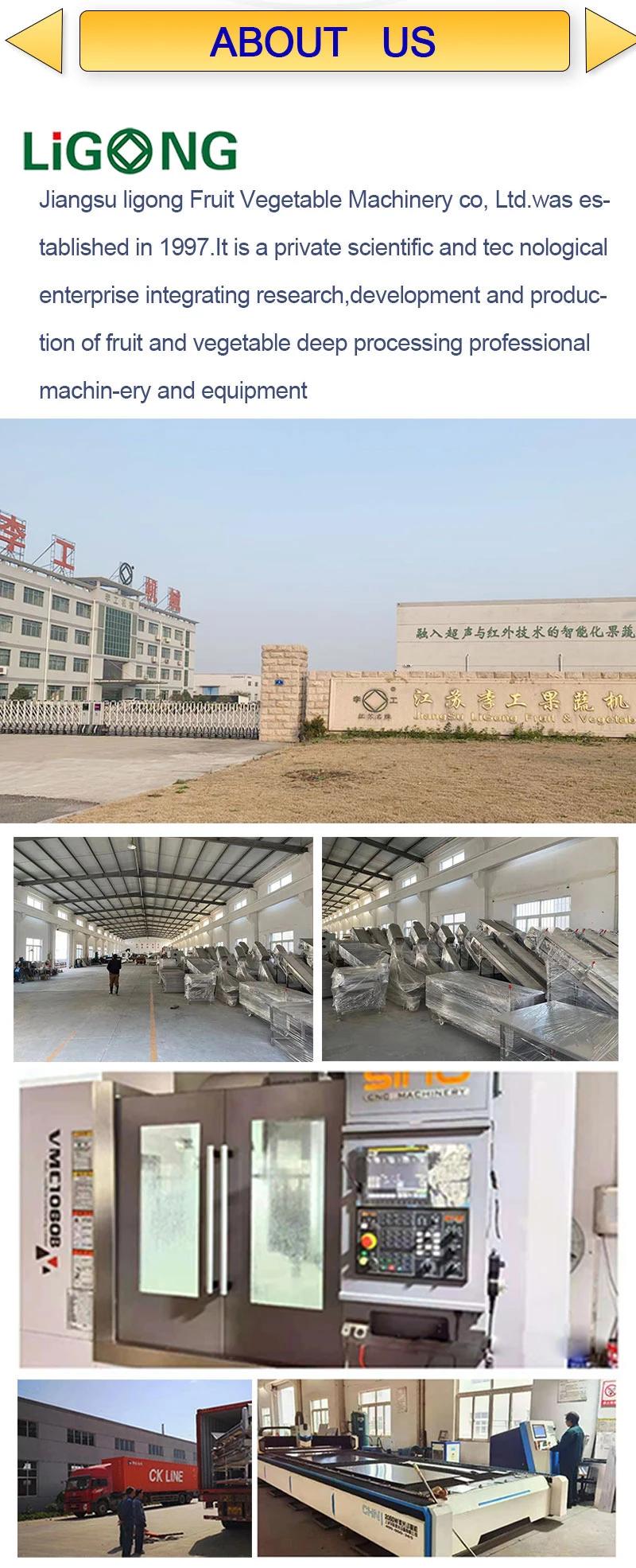 Garlic Washing Peeling Machine/ Garlic Peeler Machine/ Garlic Processing Plant