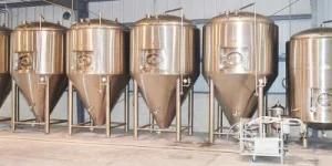 Customized Beer Fermenting Plant for Hotel, Home and Pub