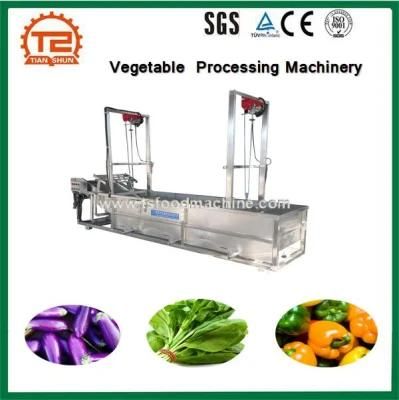 Fruit Washer Automatic Vegetable Processing Machinery