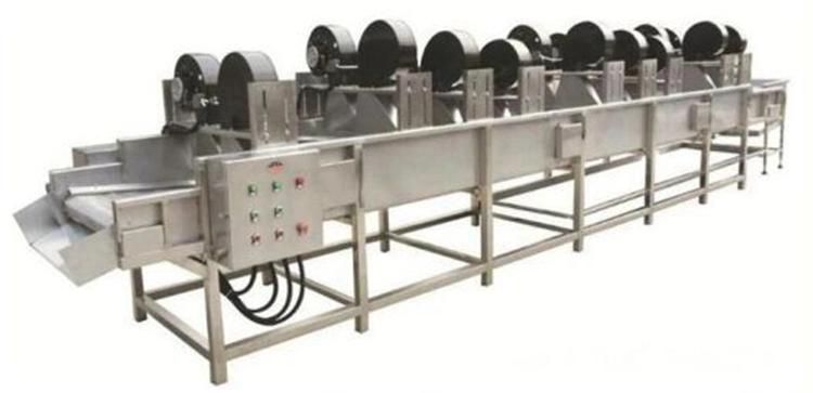 Stainless Steel Apple/Pear/Mango/Fruit/Vegetable Processing Equipment