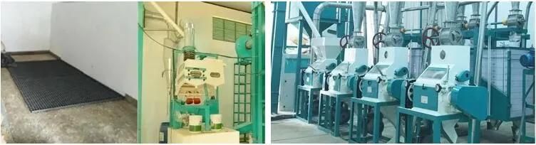 Factory Price Wheat Maize Corn Hammer Mill Roller Mill