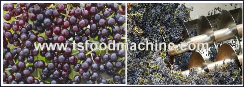 Grape Food Pasteurizer and Fruit Vegetable Pasteurization Machine