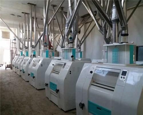 Hongdefa Wheat Flour Mill Machine Installed in Ethiopia