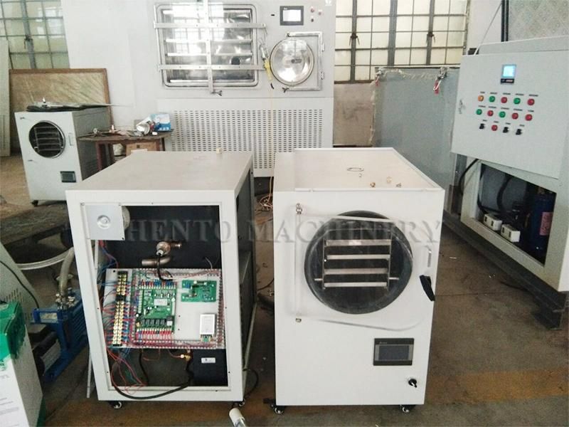 New Type Industrial Freeze Dryer For Top Sale