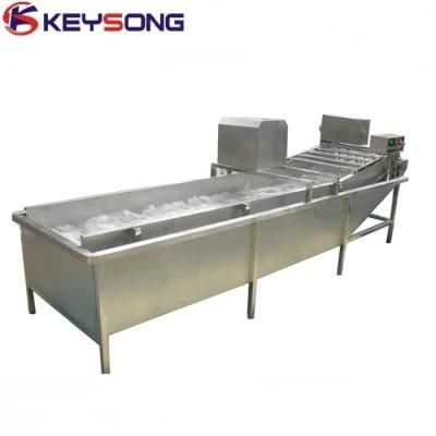 Commercial Carrots Vegetables Washing Processing Machine