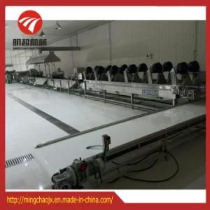 Vegetable Washing Production Line with Air Pump and SUS304