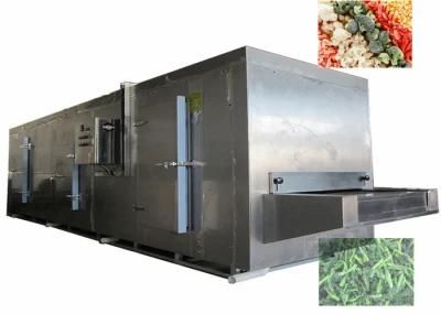China Hot Sale Vegetable Frozen Equipment