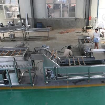 Stainless Steel Carrot Potato Washing Cutting Drying Line for Factory