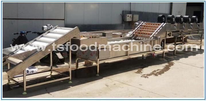 Vegetable Washing Cutting and Drying Machine