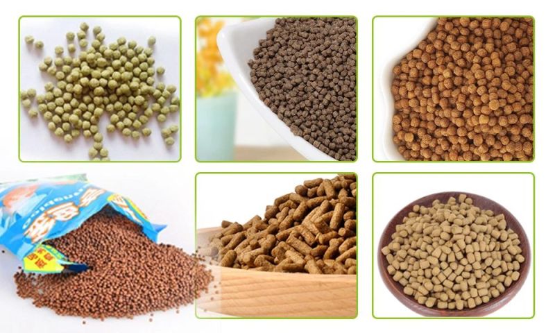 100-1000 Kg/H Animal Feed Production Plant Fish Feed Production Machinery