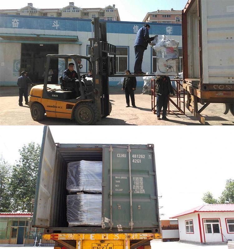 Fruit Cutting Processing Machinery for Coconut