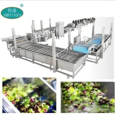 Full Automatic Washing Frozen Vegetable Production Line