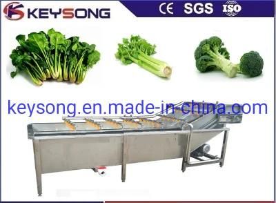Food Processing Equipment Vegetable Tank Washer