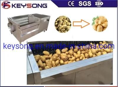 Food Processing Machinery Potato Peeler Washer