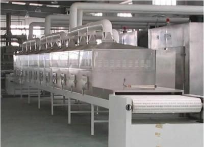 Sophisticated Technology Drying Equipment for Fruit Vegetable Processing Line
