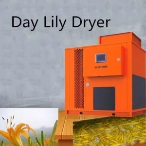 Professional Manufacture Energy-Saving Agricultural Product Processing Lily Dryer