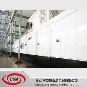 Dsm-Electrical Heat Convection Baking Oven Biscuit Machine Modle: 1000